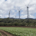 <p>A wind farm on the north shore of Oahu, operated by the Hawaiian Electric Company. Photo by Dennis Schroeder, NREL 57714</p>
