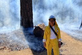 <p>Earth system science Ph.D. candidate Audrey Odwuor stands amidst a controlled burn experiment at the UC Berkeley-run Blodgett Forest Research Station in the Sierra Nevada mountains. New research led by Odwuor could help inform the way California performs controlled burns in the future. James Randerson / UCI</p>
